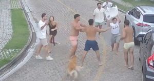 Video: las imágenes de la pelea de Eros Mancuso, Tomás Pochettino y José Herrera en Año Nuevo