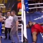 Video: el tremendo nocaut en cinco segundos en Alemania