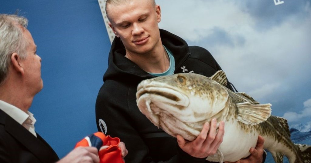 Haaland, los 300 kilos de salmón y el secreto de Noruega para seguir soñando en el Mundial