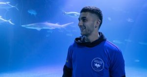 Ferran Torres le da nombre a un tiburón en el mayor acuario de Europa después del Mundial 2026